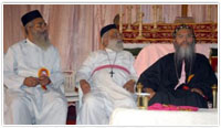 Meltho 2008